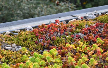 the cost of Springbourne green roof installation