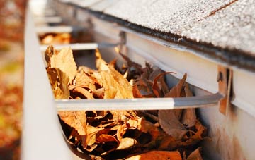 Springbourne gutter cleaning companies