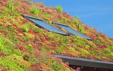 Springbourne living roof systems