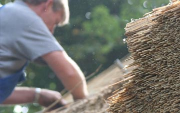 professional Springbourne thatchers